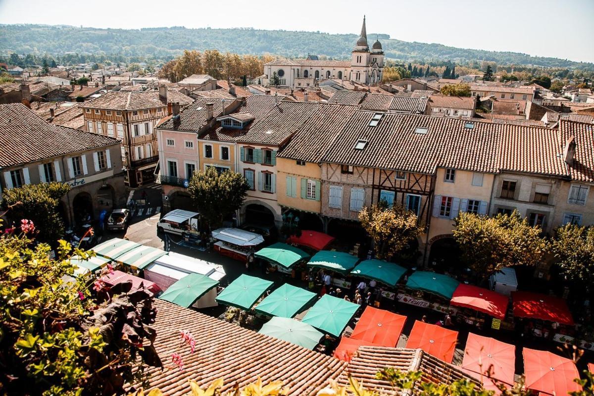 Vakantiehuis Charmante Maison De Village T3 Renovee Et Son Jardin Revel (Haute-Garonne)